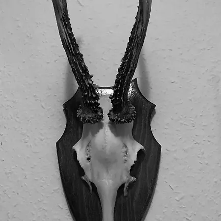 Appartement Titiseehnsucht - Gemuetliche Mit Parkplatz