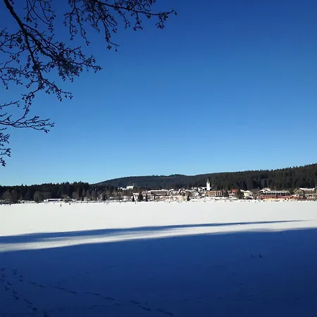Titiseehnsucht - Gemuetliche Mit Parkplatz Appartement Titisee-Neustadt