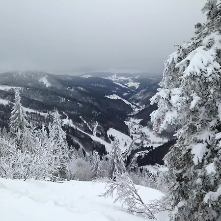 Titiseehnsucht - Gemuetliche Mit Parkplatz Apartmán *