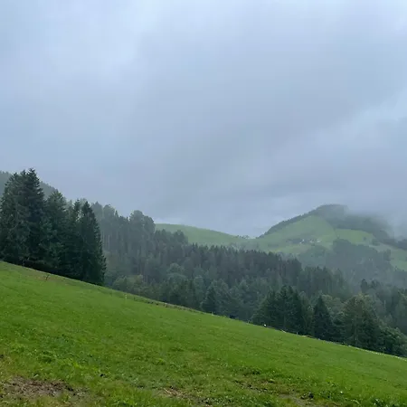 Appartement Titiseehnsucht - Gemuetliche Mit Parkplatz *