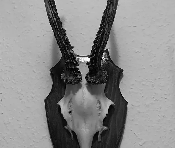 Appartamento Titiseehnsucht - Gemuetliche Mit Parkplatz